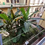 Coccole Apartment